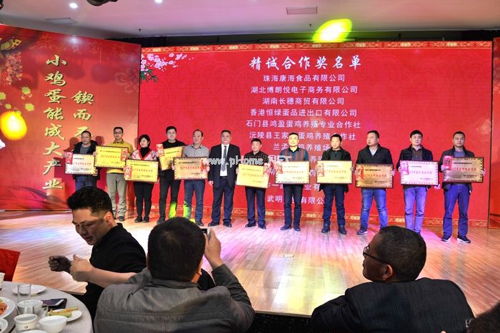 年會(huì)-客戶精誠合作獎(jiǎng).jpg